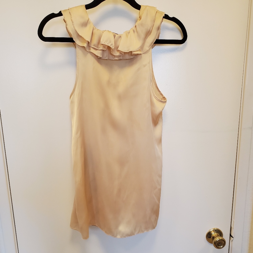 Champagne Silk Ruffle Blouse - Picture 5 of 5